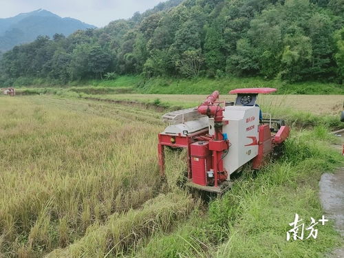 科技興農(nóng) 新型農(nóng)機設(shè)備助推翁源現(xiàn)代農(nóng)業(yè)發(fā)展